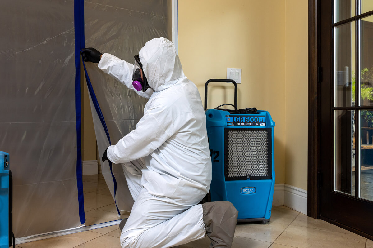Tips for Expert Mold Removal in West Palm Beach, FL in 2026